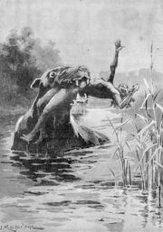 Bunyip 1890