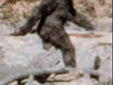 Bigfoot