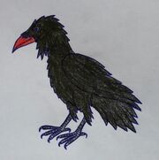 The Great Raven Drawing 1