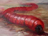 Mongolian Death Worm