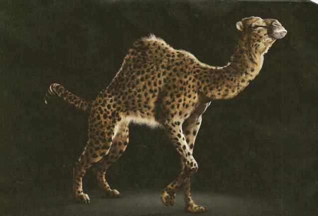 Камелопард. Бестиарий иллюстрации дениса гордеева. Камелопард мифология. Камелопард животное в библии. Камелопард.