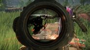 Crysis 3 assault scope view.