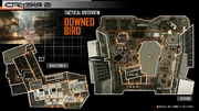 Downed bird map