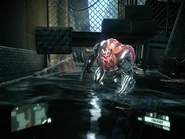 Suddenimpact (67).png (733 КБ) В воде