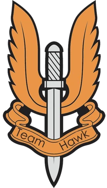 El emblema del equipo Hawk