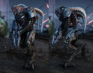 С разных ракурсов