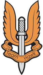 Team Hawk.png