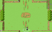 Green Pass.png