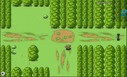 Medium Forest.png