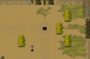Barrens.png