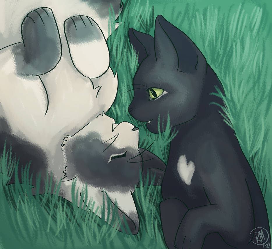 Ravenpaw, Warrior Cats Wiki