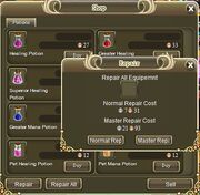 Repair.jpg