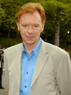 David Caruso CSI Fandom