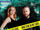 CSI: Crime Scene Investigation - Season Five Episodes 5.1 - 5.12 (DVD) (Región 2)