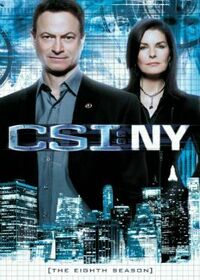 CSI NY Season Eight