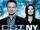 New York Season 8