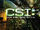 CSI Crime Scene Investigation - The Eighth Season (DVD).jpg