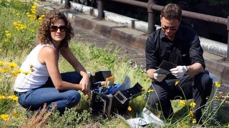 Veritas | CSI | Fandom