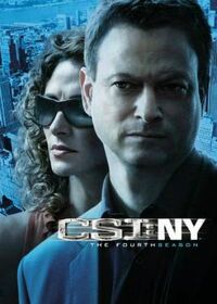 CSI NY Season Four