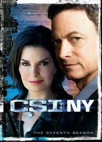 CSI NY Season Seven