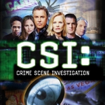 CSI: Den Tätern auf der Spur