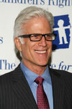 Ted Danson (as D.B. Russell)