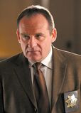 Paul Guilfoyle(as Jim Brass)