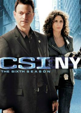 Csi New York Season 6 Csi Fandom