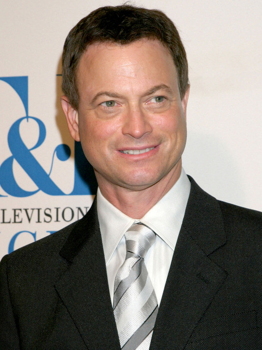 Gary Sinise CSI Fandom