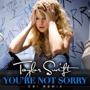 You-re-Not-Sorry-CSI-Remix-Official-Single-Cover-fearless-taylor-swift-album-14877895-600-600