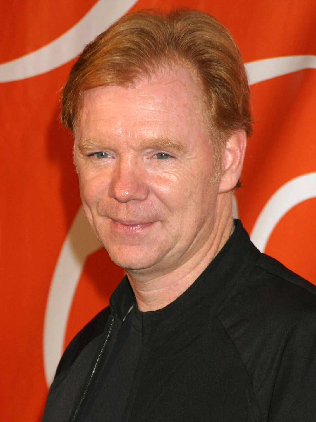 David Caruso | CSI | Fandom