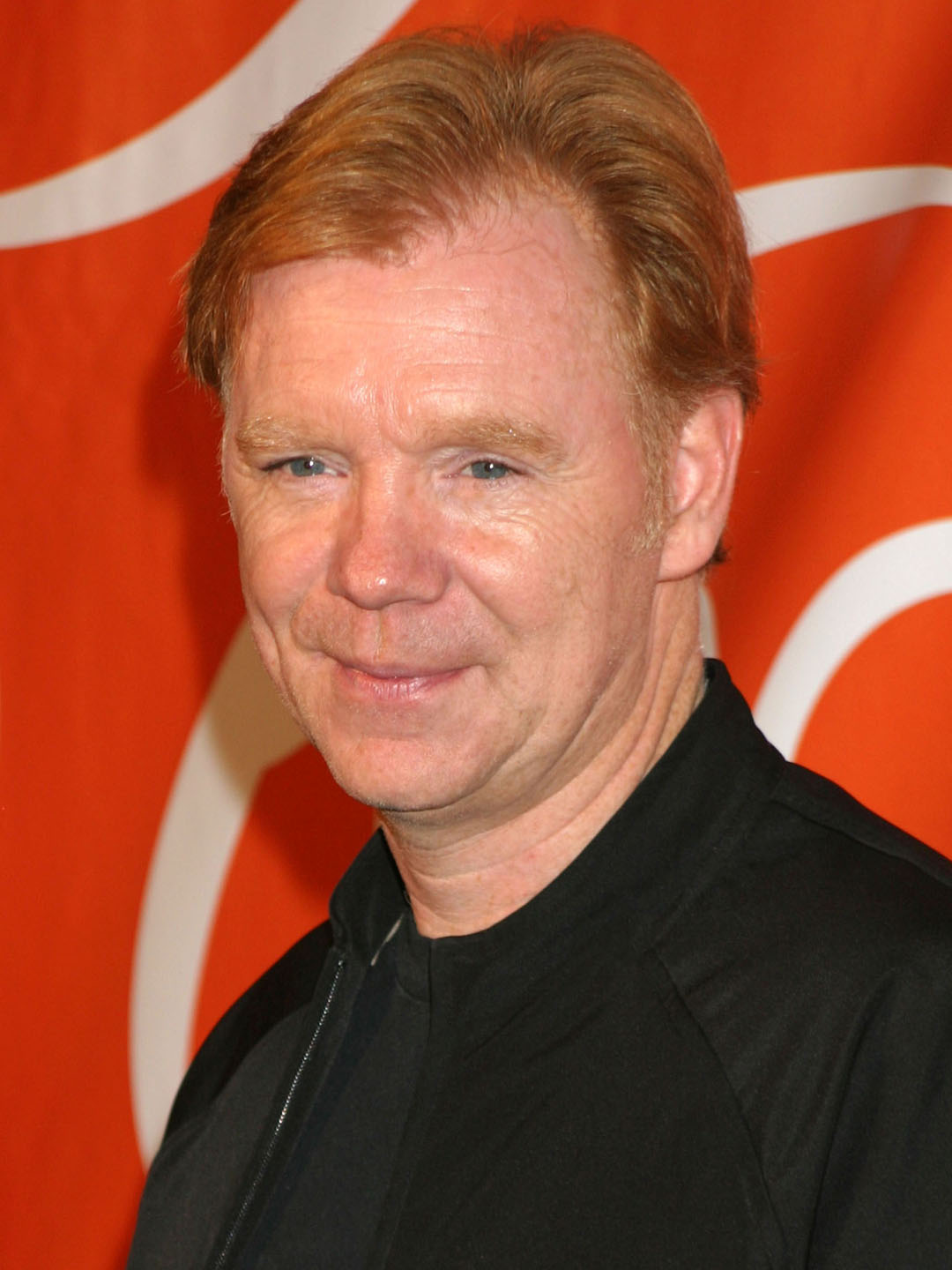 David Caruso CSI Fandom