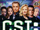 CSI: Crime Scene Investigation (videojuego)