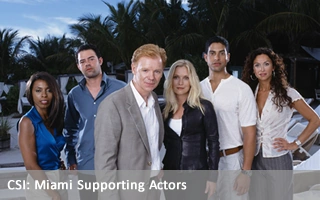 CSI: Miami Supporting Actors