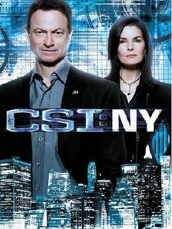 Novena temporada de CSI NY.jpg