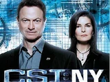 Novena temporada de CSI: NY