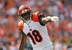 A.J. Green finds his value with Bengals, setting up potential split in 2021  - ESPN - Cincinnati Bengals Blog- ESPN