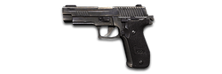 SIG Sauer P228