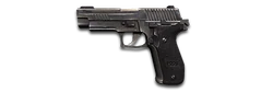 P228