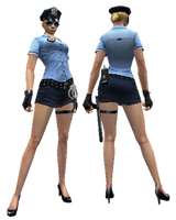 Police model