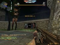 In-game screenshot