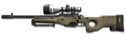 AWP Special