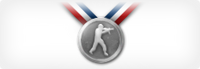 Silver Medal