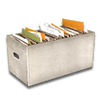 Container of files