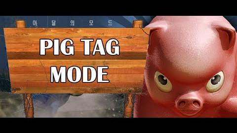 Pig Tag, Counter Strike Online Wiki