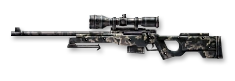 AWP Camouflage