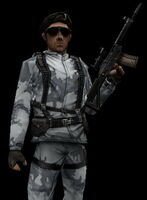 An Arctic Avengers member with an SG552.