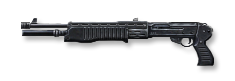 SPAS-12