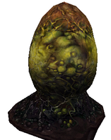 Egg model