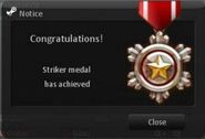 [Striker] medal